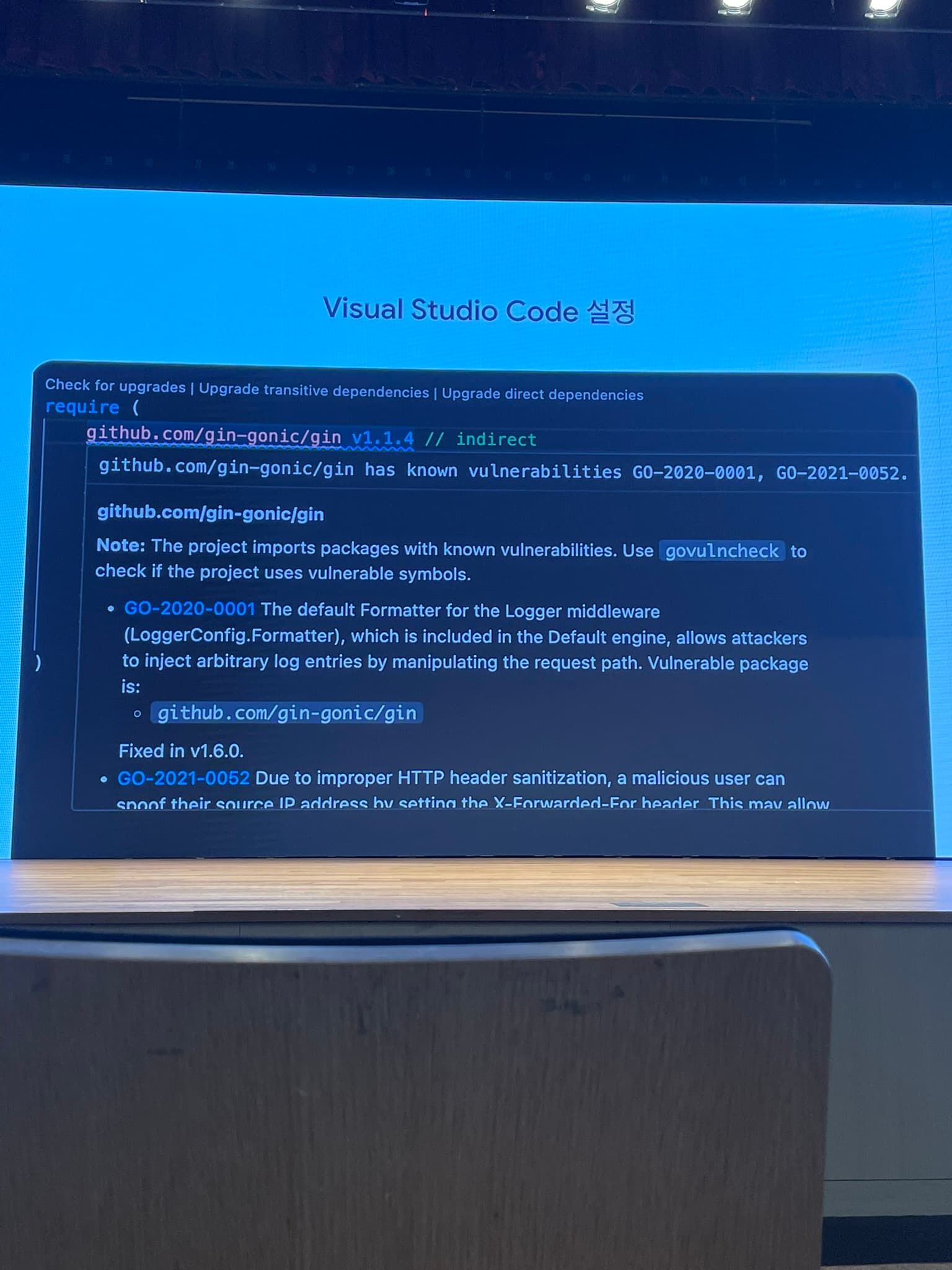 govulncheck IDE warming