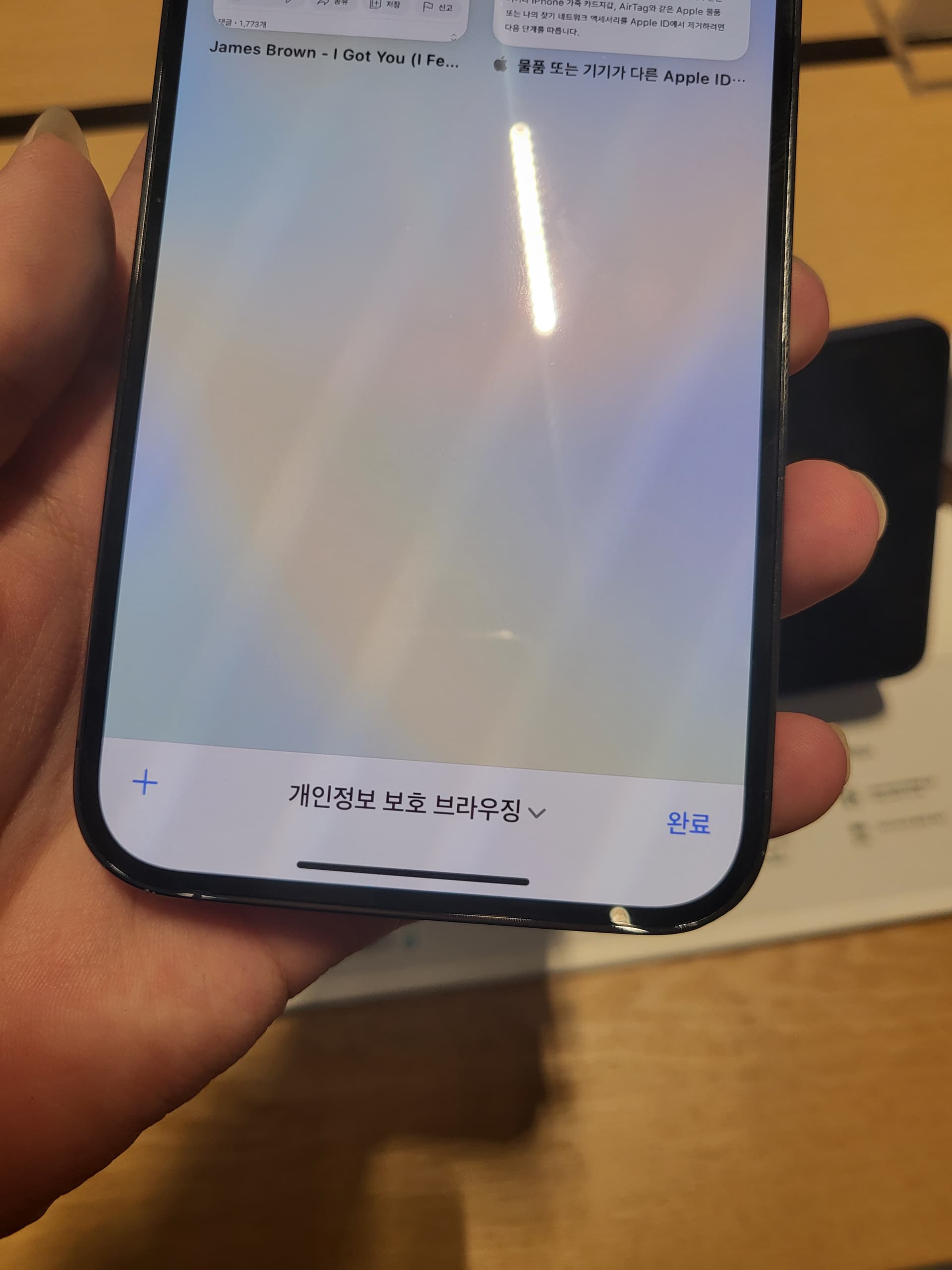 iPhone Safari App